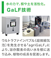 GALF技術