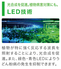 LED技術