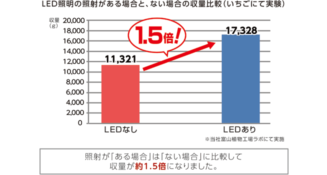 LED照明の照射がある場合と、ない場合の収量比較図